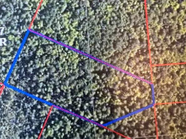 Miscauno Island Ln #18, Daggett, MI 49821