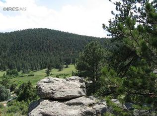 163 Meadowview Dr, Estes Park, CO 80517