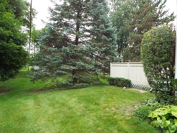 Deck / back court grass area