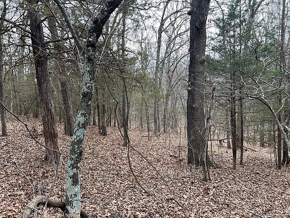 3rd image of 2500 E Farm Road 10