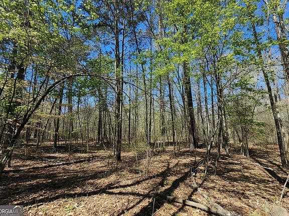 4th image of 0 River Shoals Ct