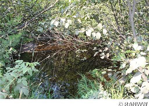 2nd image of 0 Roddis Line Road