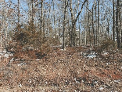 000 Lot 1 Block 13 Morrison Sub, West Plains, MO, 65775