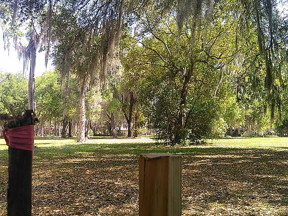 5th image of 103 Sellers Ct