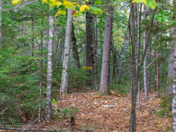 141 Locke Falls Road, Tamworth, NH 03897