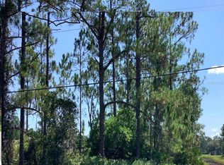 Caesar Ave, Orlando, FL 32833