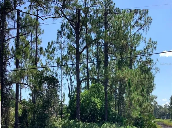 Caesar Ave, Orlando, FL 32833