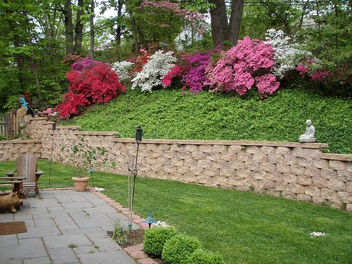 3 bed, 1500 sqft, $3,100 — Photo 2