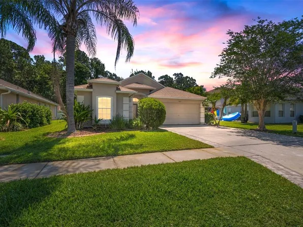 14627 Corkwood Dr, Tampa, FL 33626