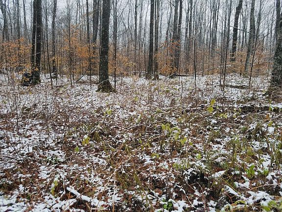 5th image of Binder Road Parcel #11