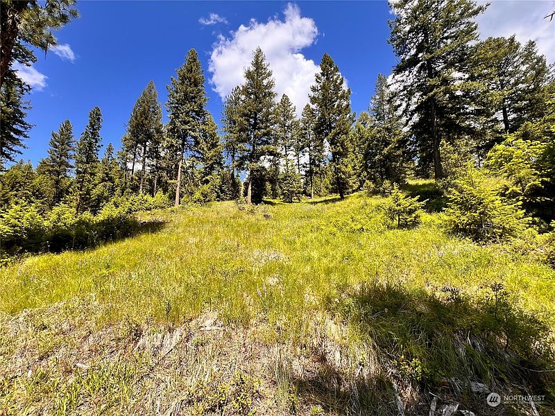 4th image of 0 TBD Old Kettle Falls Road