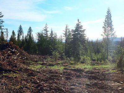 0 Ryan Loop, Saint Maries, ID, 83861