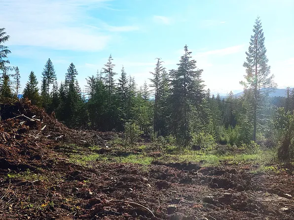 0 Ryan Loop, Saint Maries, ID 83861