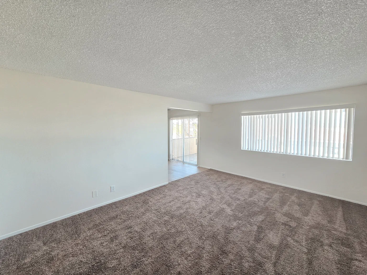 2657 McLeod Dr — Photo 3