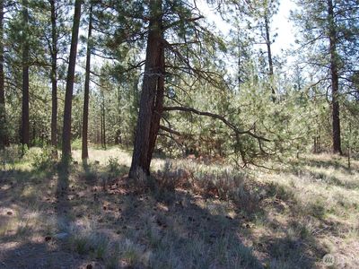 4 Chief Joseph Spur East, Riverside, WA, 98849