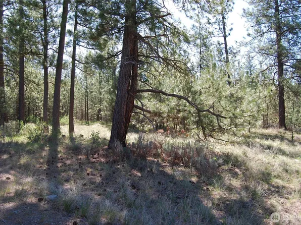 4 Chief Joseph Spur East, Riverside, WA 98849