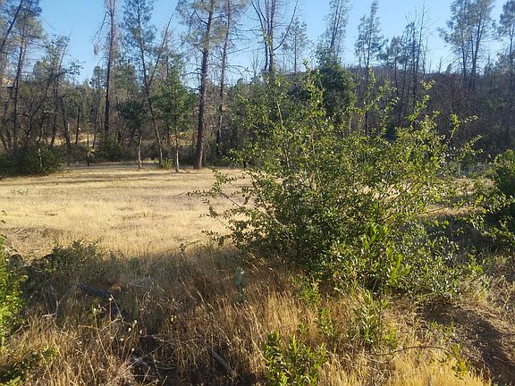 2nd image of Shadow Mountain Lane Old