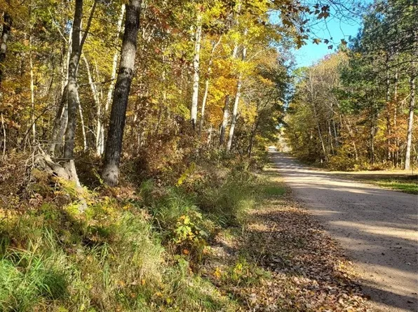 80+/- 295th Avenue, Holcombe, WI 54745