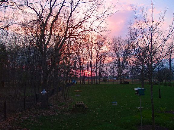BACKYARD SUNSET