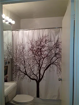 Rented by Elika Associates II, LLC | media 6