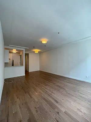 Rented by Voro NYC | media 15