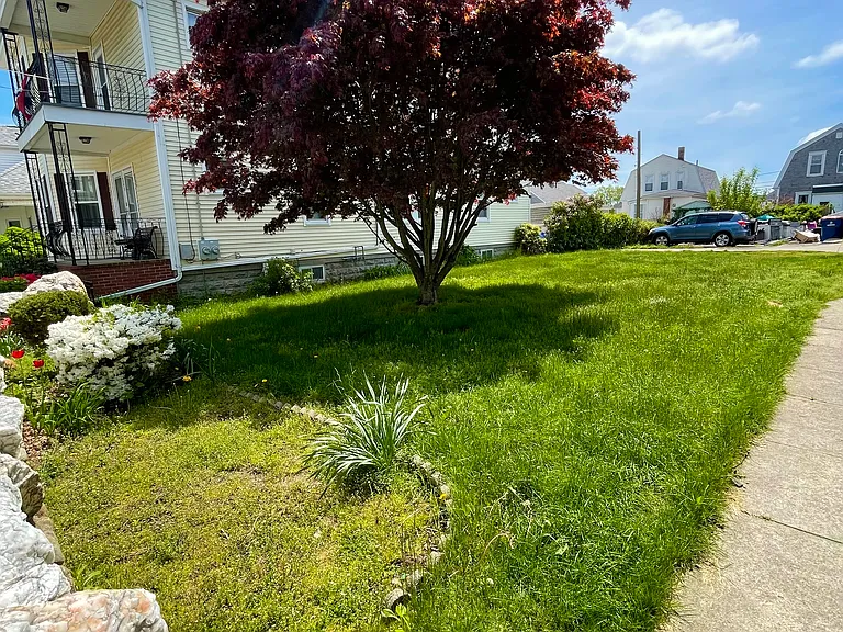 Yard