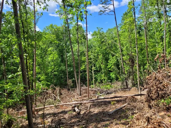 0 Totero Court & Rosseechee 10 11 41 Lot 1-7-49, Clarksville, VA 23927