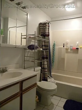 26 Haskell St #2Z — Photo 10