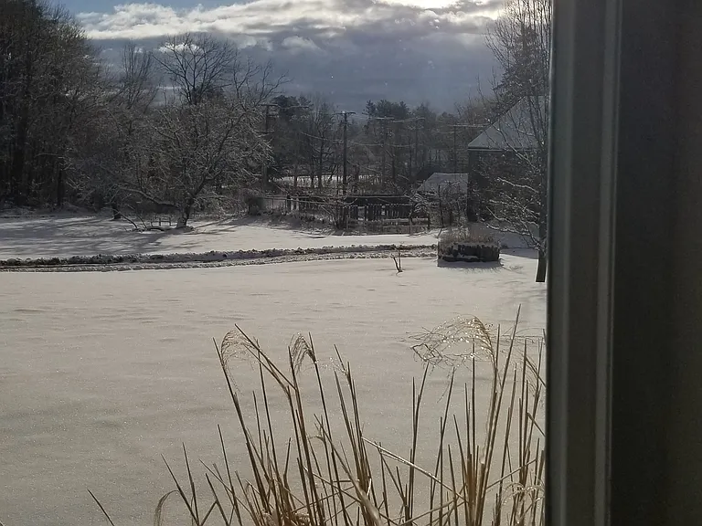 Back of property
