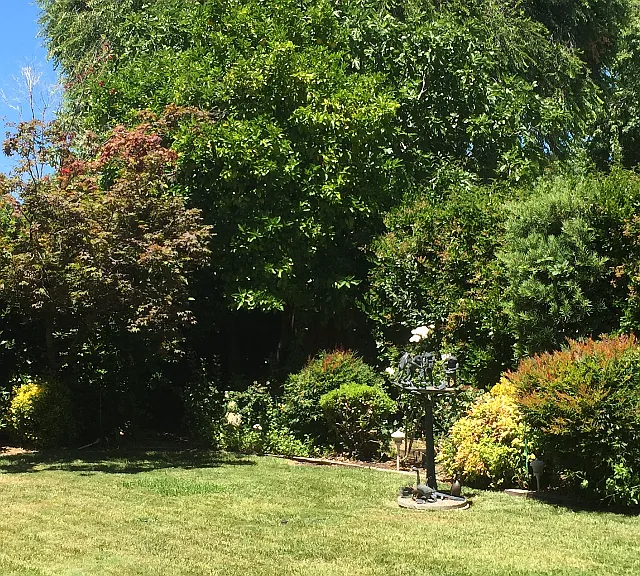 15 Sage Ct — Photo 17
