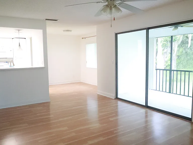 Living room and dining area