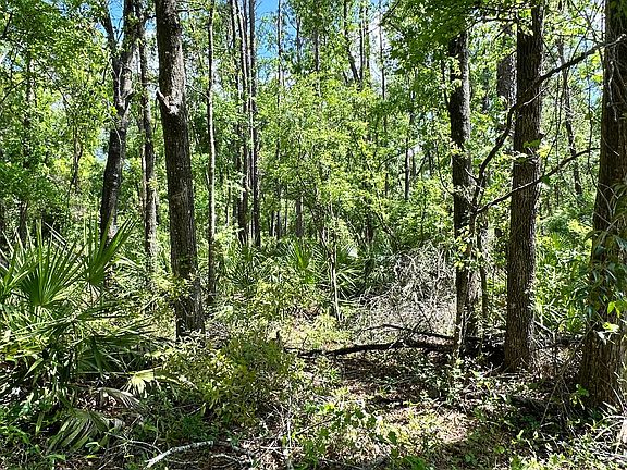 4th image of 0 N County Road 349 Lot 44