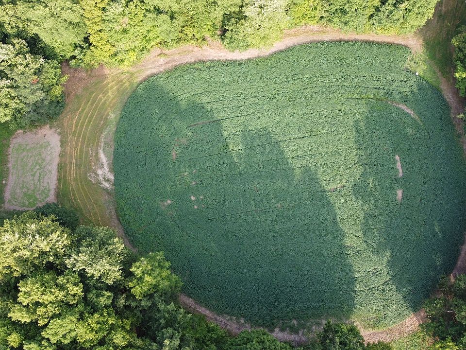 1st image of 2124 County Road 170 Lot Wp001
