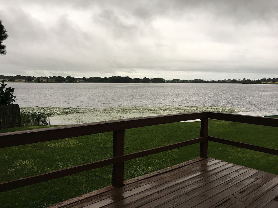 Backyard View