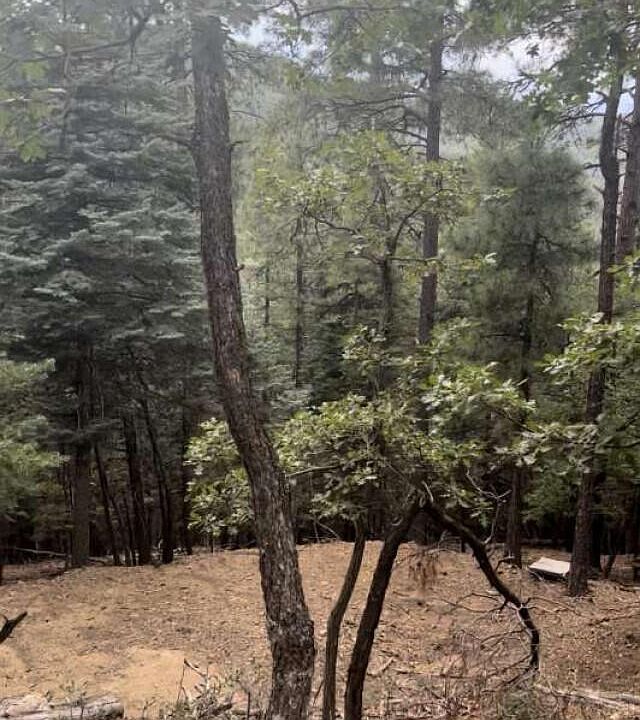1st image of 8034 S Millsite Dr