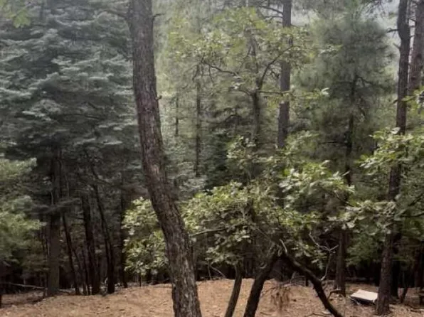 8034 S Millsite Dr, Prescott, AZ 86303