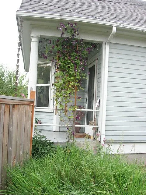 2 bed, 1348 sqft, $2,500 — Photo 2