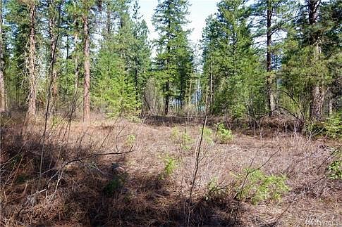 4th image of 6 Ponderosa Ln #12C