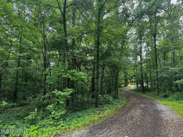 10225 Dry Grove Rd, Raymond, MS 39154