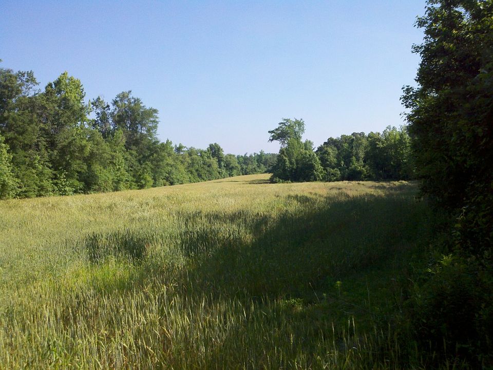 2nd image of 348 N Pleasant Coates Rd
