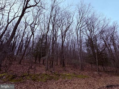 461 Mountain Rd, Zion Grove, PA, 17985