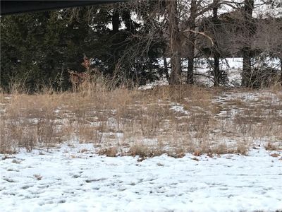 Lot 18 577th Street, Colfax, WI, 54730