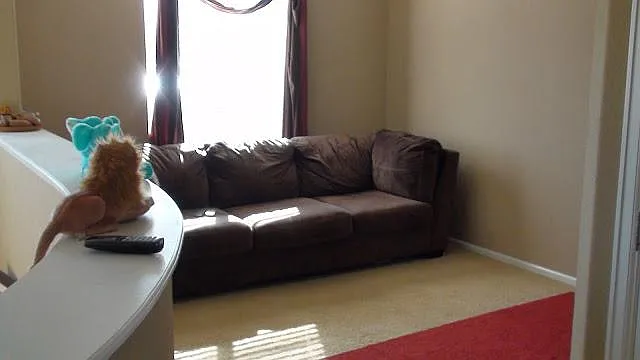 10811 Fairmont Ln — Photo 9