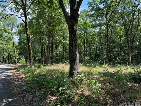 (undisclosed Address), Quitman, AR 72131