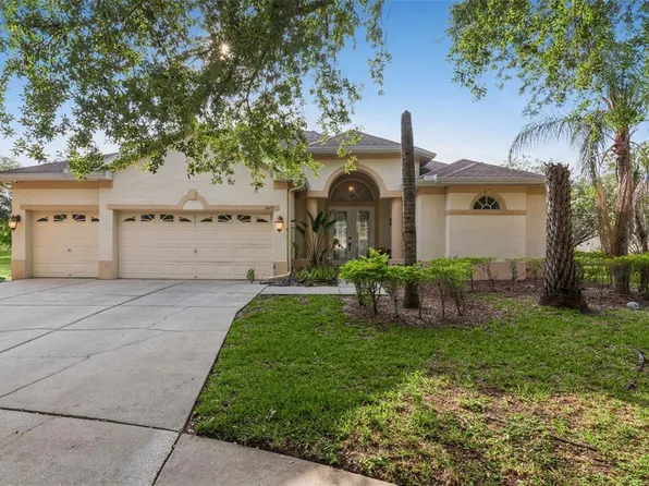 2425 Blue Stone Ct, Valrico, FL 33594