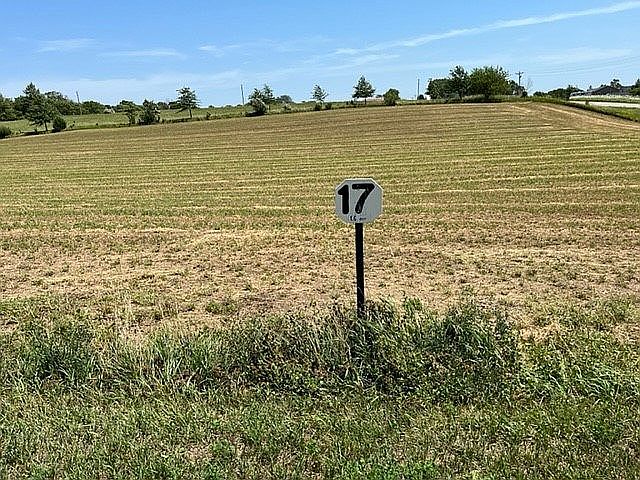 Lot 17