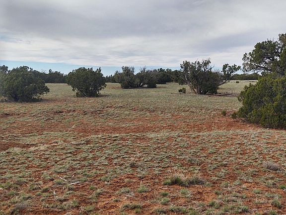 3rd image of 8920 Texas Ln