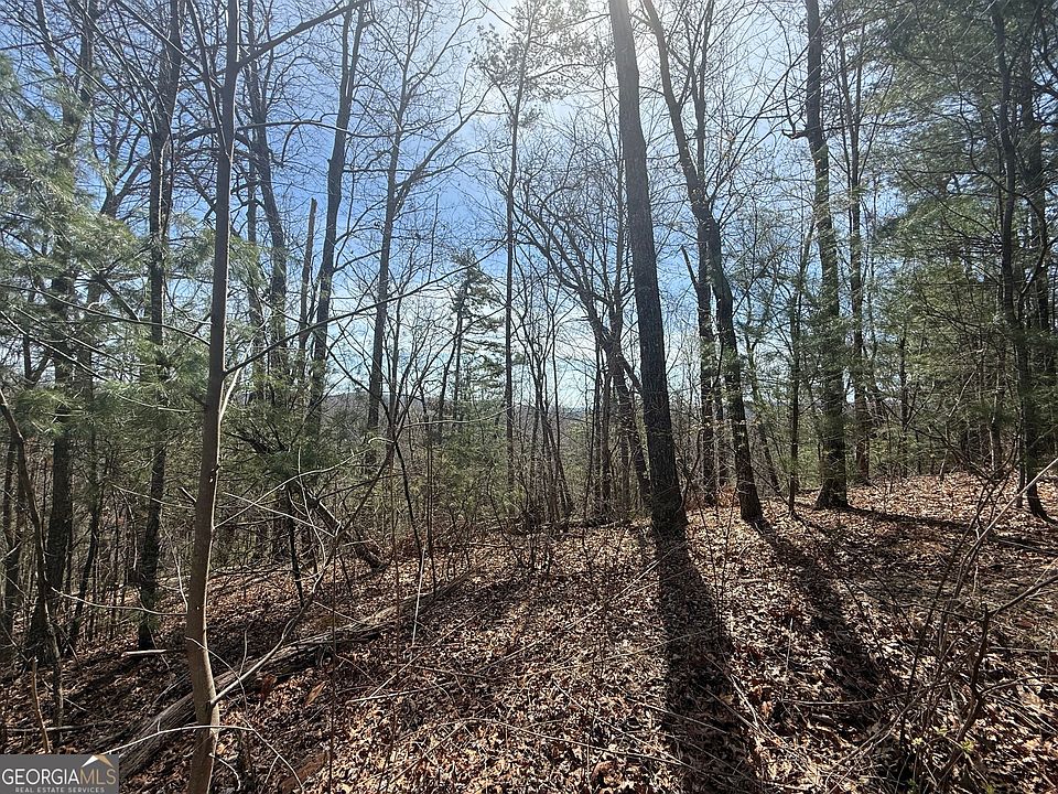 2nd image of TRACT 3A Big View Ln