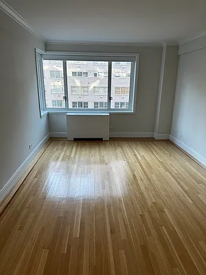 Rented by 165 E 66 Street Residential Owner LLC | media 5