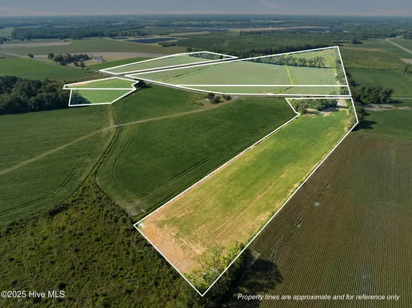 0 Charlie Manning Road, Bethel, NC 27812